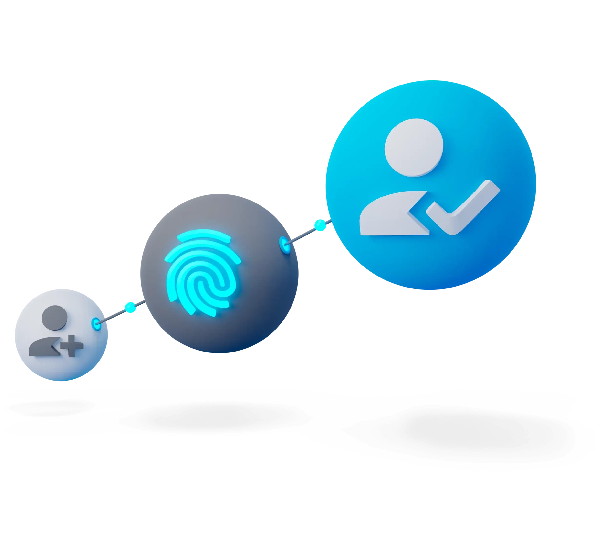 ID Verification Process